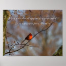 Search for appears posters Cardinal