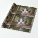 Recherche de yeux papier cadeau Chaton mignon