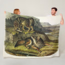 Search for wolf blankets Illustration