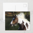 Recherche de tambours cartes postales Animal