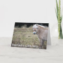Search for horse get well cards Sick