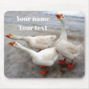 Search for winged animals mousepads White