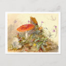 Recherche de prairie cartes postales Vintage