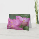 Search for great grandma birthday cards Pink