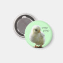 Search for spring bird magnets Easter