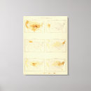 Search for interstate art Statistical