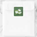 Search for jasmine stickers Flower
