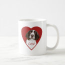 Recherche de chiens de chasse tasses Brun