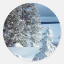 Search for winter scenery stickers Xmas