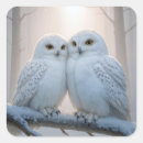 Search for snowy owls stickers Winter