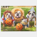 Recherche de halloween kitchen accessories Drôle
