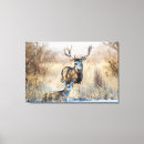 Search for buck deer art Winter