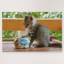 Recherche de minuscule puzzles Bébé