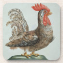 Recherche de gravure sur dessous de verres Oiseaux
