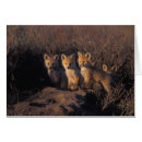 Search for vulpes Global warming