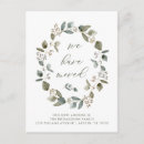 Search for eucalyptus postcards We have moved