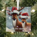 Search for buck and doe ornaments Newly weds