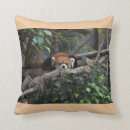 Search for red panda pillows Kids