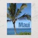 Recherche de palm tree postcards Palmier