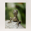 Recherche de lézard puzzles Faune