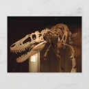 Search for natural history museum postcards Dinosaur