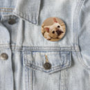 Recherche de frenchie badges Animal