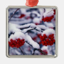 Search for european ornaments Flower