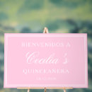 Search for quinceanera decor Mis quince