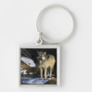 Search for minnesota usa keychains Wolf
