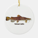 Search for flathead catfish Noodling