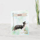 Search for border collie note cards Dog