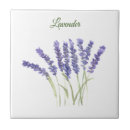 Search for lavender tiles Herb
