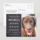 Search for come sit stay invitations Pet