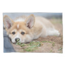 Search for corgi pillowcases Cute