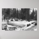 Search for sequoia posters Photograph