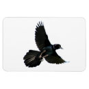 Recherche de ravenne magnets Oiseau