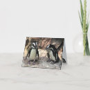 Search for penguin thank you cards Animal