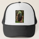 Recherche de nourritures casquettes Ferme