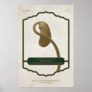 Recherche de journaux posters Nature