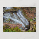 Recherche de lait cartes postales Automne