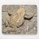 Search for will be toad mousepads Nature