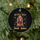 Search for in loving memory pet ornaments For pets