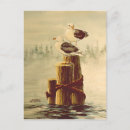 Recherche de paire cartes postales Oiseaux