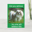 Search for job promotion cards Boss