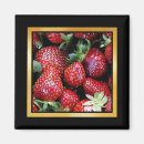 Recherche de motif graphique maison magnets Jardin