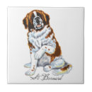 Search for bernard tiles Pet