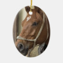 Recherche de cheval arabe ornements Équin