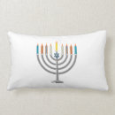 Search for pesach pillows Passover
