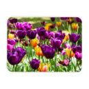 Recherche de mignons magnets Anniversaire