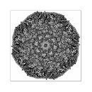 Recherche de mandala rubber stamps Méditation